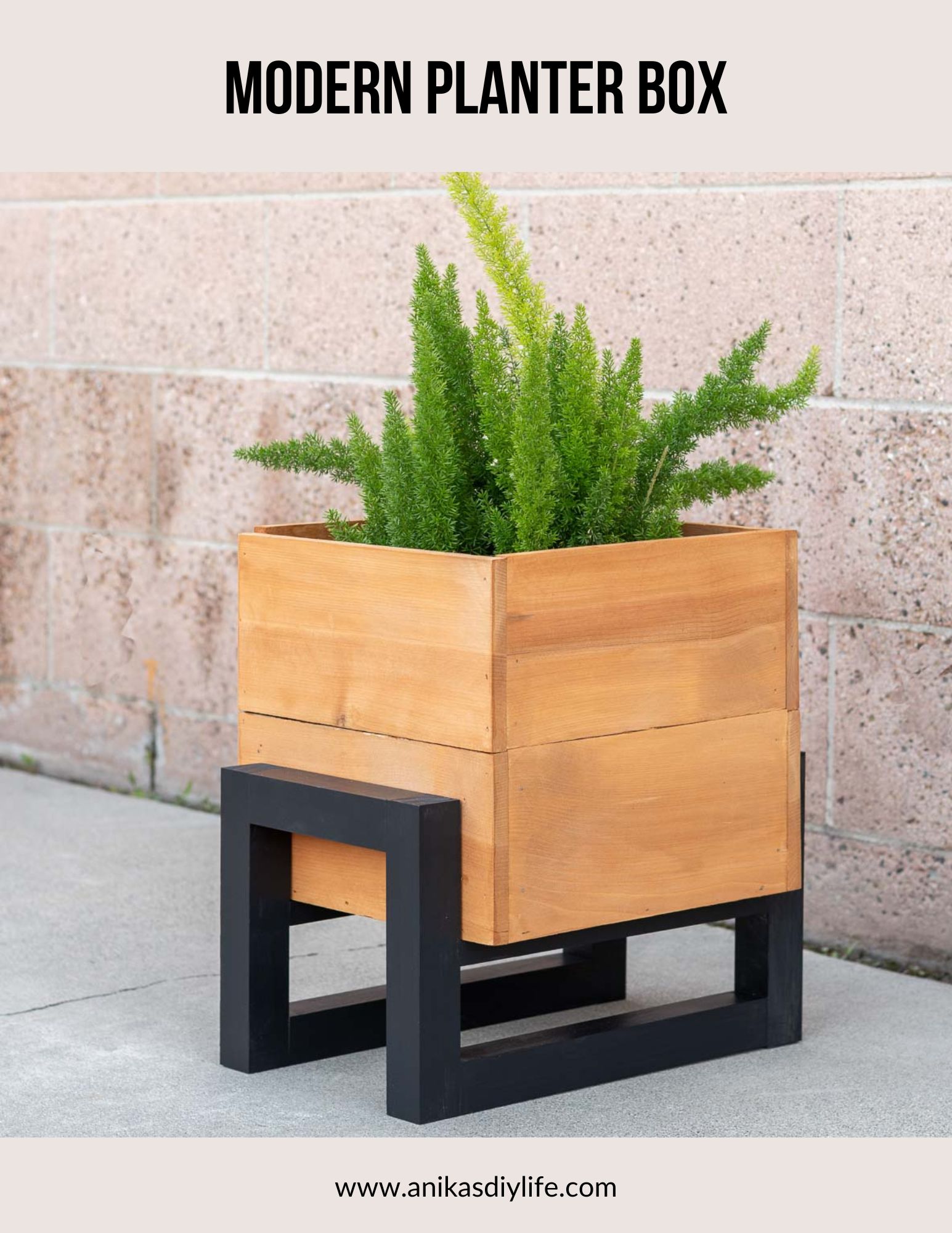 DIY raised modern planter
